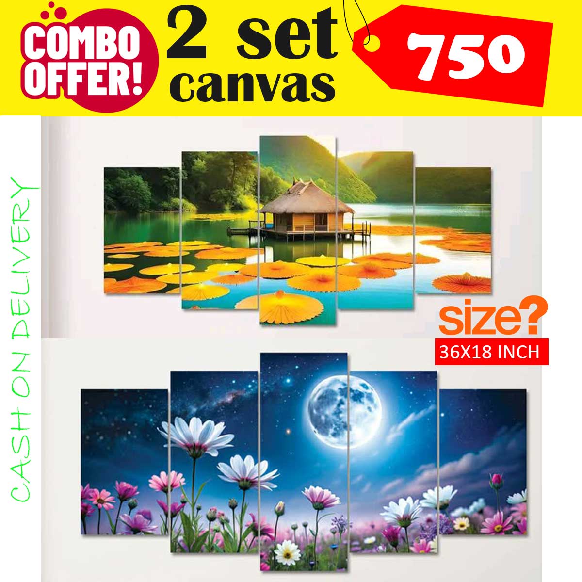 CNVS 2338+2153 36X18 INCH 2 SET